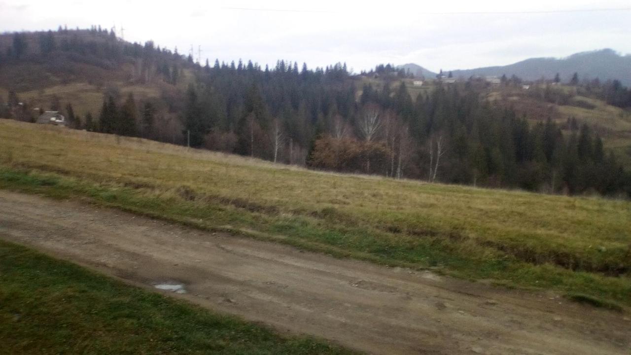 на гірському схилі *